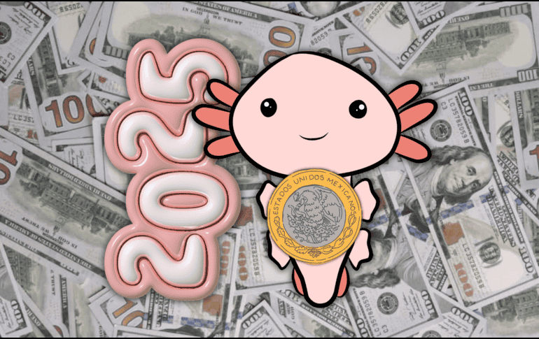 Estrategas de la correduría brasileña XP Investments calculan que el dólar despedirá 2025 sobre 18 pesos y cerrará el siguiente año en 17.10 unidades. ESPECIAL / CANVA