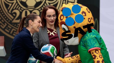 Se acordó que el Servicio de Administración Tributaria expedirá ciertas disposiciones para controlar y dar cumplimiento a la Garantía Gubernamental. EFE / ARCHIVO