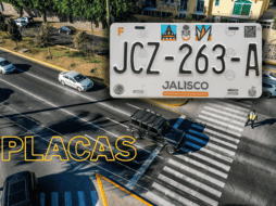 Los diseños de placas 