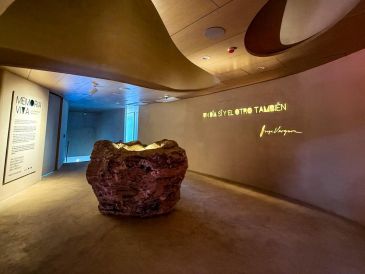 El museo fue diseñado como una “grotto”, una cueva dentro del volcán que representa el estadio, y dialoga con elementos naturales como un pirul centenario, que se convierte en “árbol guardián” del recinto. EL INFORMADOR/ A. Navarro