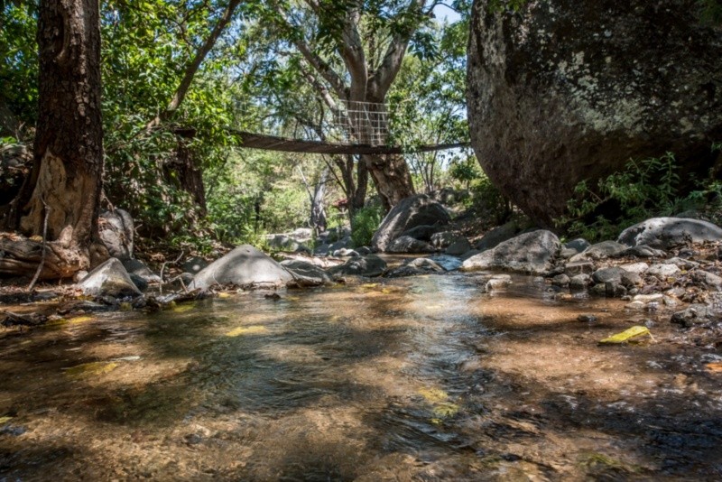 Para quien llega por primera vez, Manantlán ofrece un encuentro íntimo con la naturaleza. UNIVERSIDAD DE GUADALAJARA