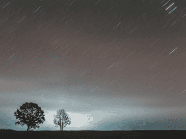 Su nombre es alusivo al lugar donde aparecen: constelación de Leo. ESPECIAL