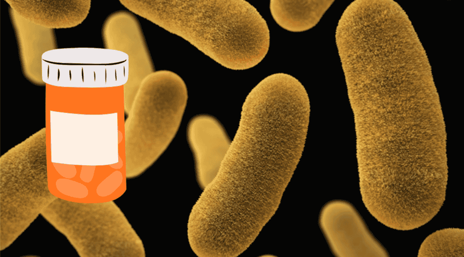 Un estudio científico demuestra que se puede utilizar un fármaco para eliminar bacterias infecciosas. UNSPLASH / CDC