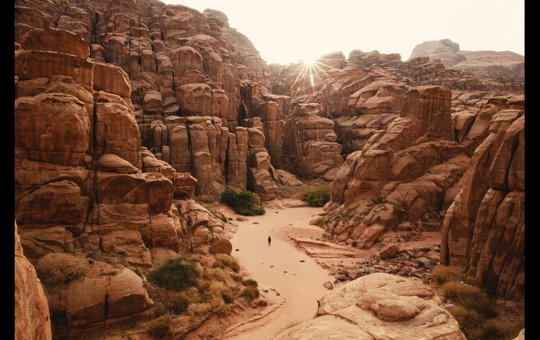 Científicos fueron capaces de descubrir señales moleculares de la existencia de hace 2 mil 500 millones de años. UNSPLASH / NEOM