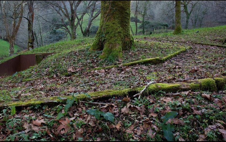Mediante 34 piezas fotográficas, tres fotolibros y una videoinstalación, Pons ilumina aquello que ha sido silenciado en la memoria colectiva. ESPECIAL / ESPE PONS