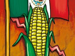 La tonelada de maíz se cotiza en los mercados internacionales en poco más de tres mil pesos por tonelada. Los agricultores piden siete mil 200 para no perder lo invertido y rescatar algo de beneficio. ESPECIAL/Valeria Berrrueco