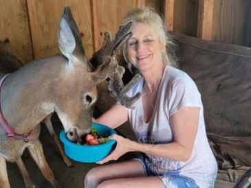 Proger era una mujer que desarrolló un proyecto dedicado al rescate de venados cola blanca después de presenciar un incidente que marcó su vida. ESPECIAL