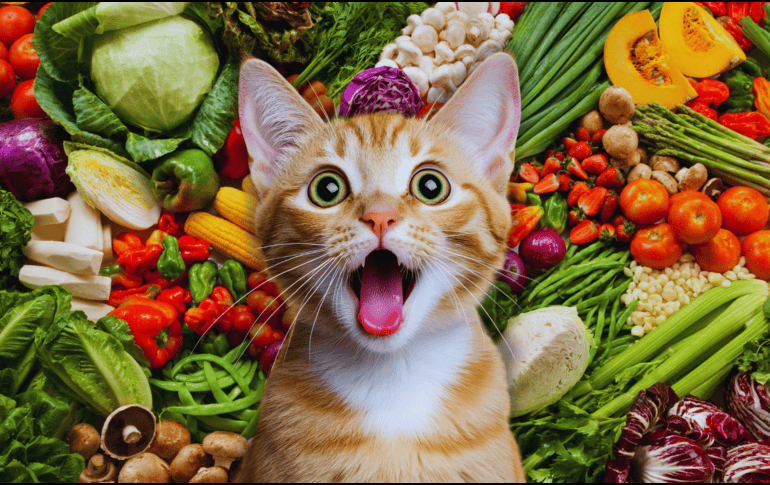 Hay comida y premios para gato que ya incluyen los beneficios de algunas frutas y verduras, en presentaciones más aptas y que les llamarán la atención mucho más. ESPECIAL / CANVA