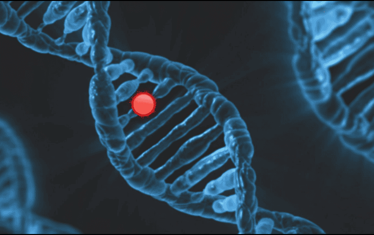 Este descubrimiento se alcanzó con el análisis de sitios de inicio de transcripción en 150 mil genomas humanos del 