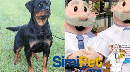 Aquí puedes llevar a tu mascota a atenderse en el SimiPet Care. NTX / SUN / ARCHIVO