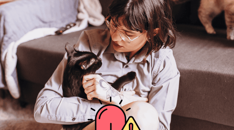 Aquí te compartimos una guía clara y práctica para actuar mientras llega ayuda de un profesional veterinario. CANVA / ESPECIAL