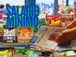 El precio promedio nacional de la canasta básica se mantiene por debajo de 910 pesos mensuales. ESPECIAL / CANVA