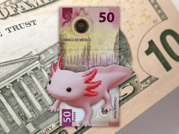 La divisa mexicana en los mercados internacionales concluyó alrededor de 18.18 pesos por dólar, lo que significó una apreciación de 0.63% o 12 centavos respecto al cierre del viernes anterior. ESPECIAL / CANVA