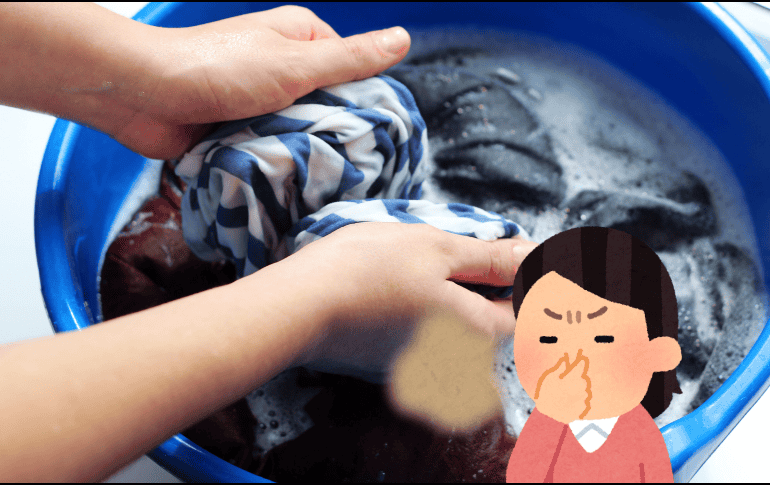 La clave es una mezcla de buena ventilación, productos correctos y un lavado suave pero efectivo. ESPECIAL / CANVA