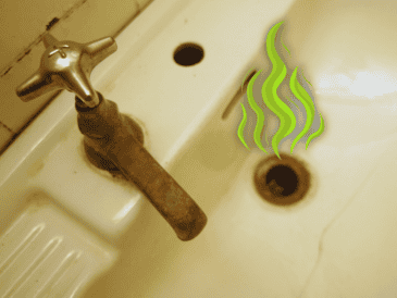 Otra causa habitual es la presencia de atascos parciales causados por restos de jabón, cabello o materia orgánica que se acumulan y provocan un olor similar al de la materia fecal. ESPECIAL / CANVA