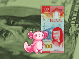 Es importante recordar que la cotización del dólar se actualiza a lo largo del día, por lo que es necesario revisarla constantemente si se requiere para alguna ejecución financiera. ESPECIAL / CANVA