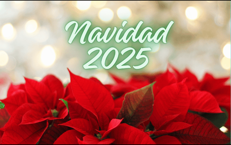 De acuerdo con la UNAM, existen documentos históricos señalan que la Nochebuena tenía usos ceremoniales y medicinales durante la época prehispánica. ESPECIAL