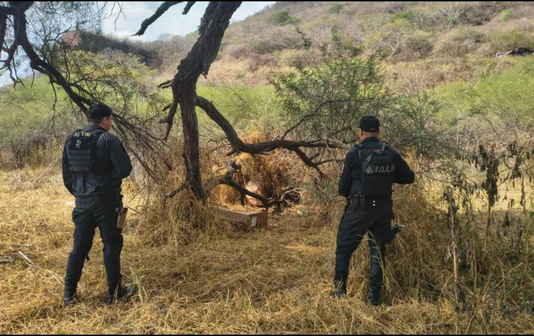 Elementos de la Fuerza de Operaciones Estratégicas de Protección Ciudadana de la Secretaría de Seguridad Jalisco localizaron las 9 armas de fuego. CORTESÍA/SSJ