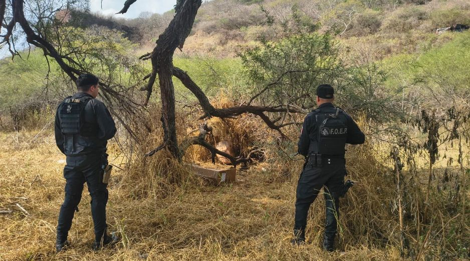 Elementos de la Fuerza de Operaciones Estratégicas de Protección Ciudadana de la Secretaría de Seguridad Jalisco localizaron las 9 armas de fuego. CORTESÍA/SSJ