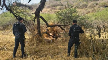 Elementos de la Fuerza de Operaciones Estratégicas de Protección Ciudadana de la Secretaría de Seguridad Jalisco localizaron las 9 armas de fuego. CORTESÍA/SSJ