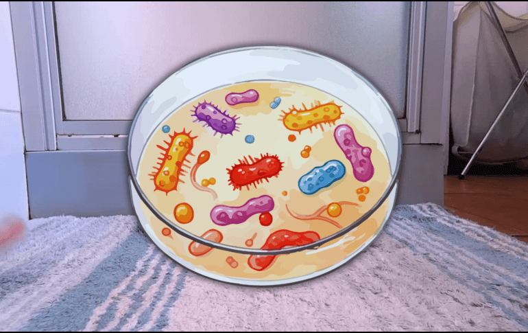 Las rutinas de lavado también pueden adaptarse según el tipo de material. ESPECIAL / CANVA