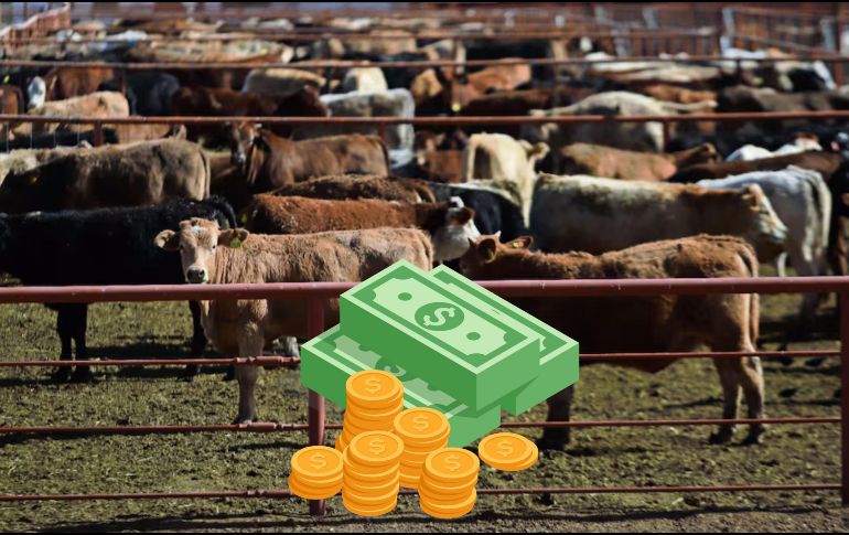 El cierre, vigente hace 13 meses, mantiene frenados los envíos desde estados exportadores. SUN / ARCHIVO