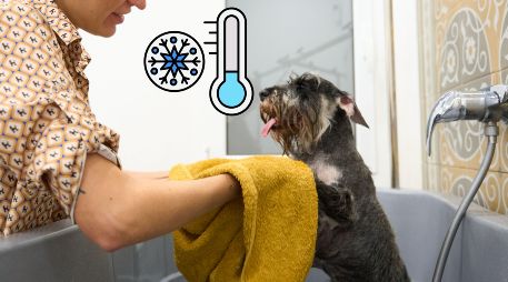Durante los meses fríos, el baño continúa siendo parte fundamental de la higiene del perro. ESPECIAL / CANVA