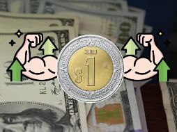 Así abre la cotización del dólar en los principales bancos de México. EL INFORMADOR / ARCHIVO