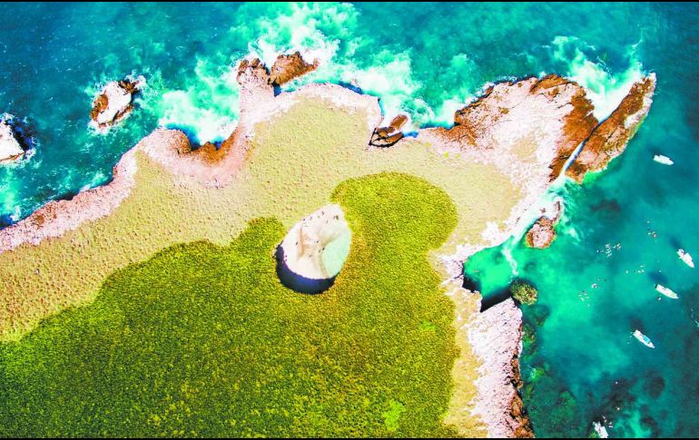 Esta playa escondida de Nayarit es un refugio de más de 100 especies, entre las que destacan: delfines, corales, tortugas, peces y aves. SUN / ARCHIVO