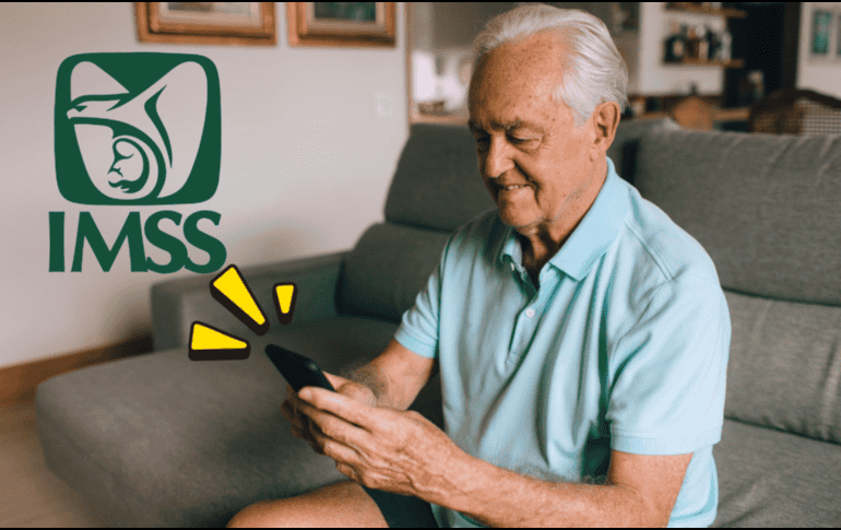 Los derechohabientes pueden consultar información verificada y actualizada en el portal del IMSS. CANVA