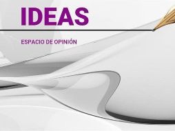 Sin manual de usuario