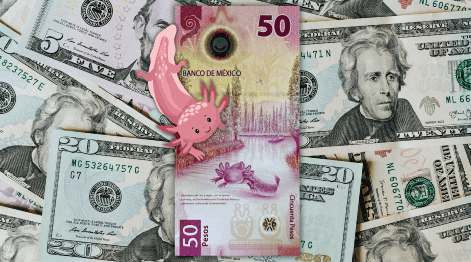 Según información de Bloomberg, el tipo de cambio este día arranca en 17.98 pesos por dólar (Ciudad de México, 07:45 horas). ESPECIAL / CANVA