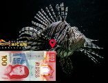 Aprovecha la temporada de diversión en el Acuario Michin; comienza esta semana. EL INFORMADOR / ARCHIVO