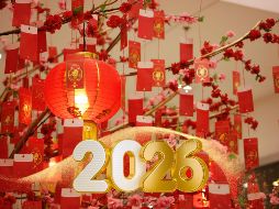 El horóscopo chino se organiza en un ciclo de 12 años, donde cada año está representado por un animal. ESPECIAL / CANVA