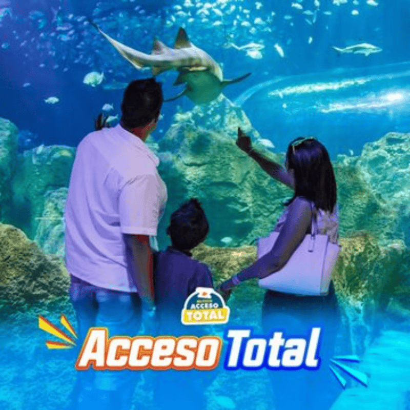 &nbsp;ESPECIAL/ACUARIOMICHIN