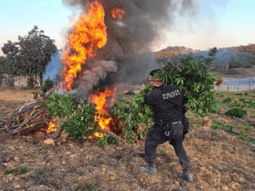 El aseguramiento se realizó durante el despliegue de la columna de vigilancia especial “Operativo Invernal 2025". ESPECIAL / SSE