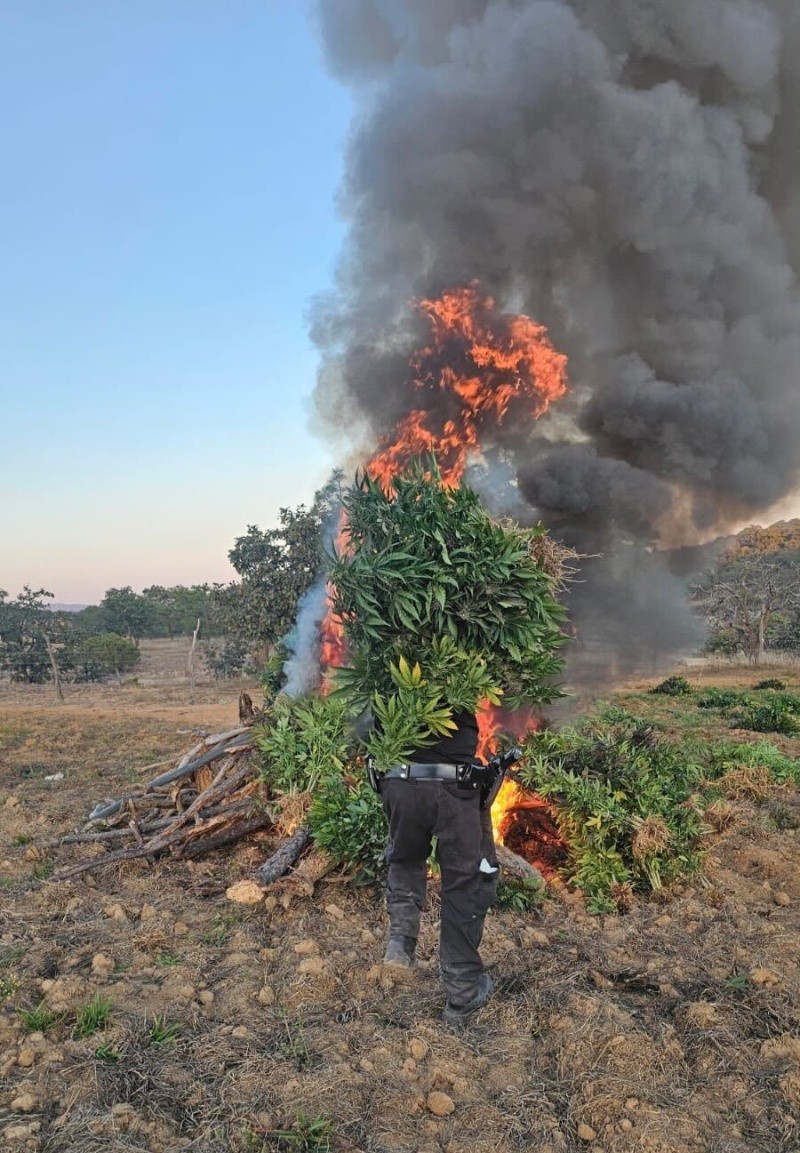 &nbsp;ESPECIAL / SSE