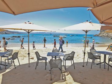 Se espera que los destinos de playa del Estado tengan una ocupación hotelera cercana al 85 por ciento. ESPECIAL