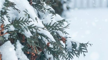 Estas regiones registran nevadas que atraen a viajeros interesados. UNSPLASH.