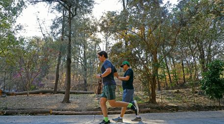 Se espera gran afluencia a los bosques urbanos y parques de la ciudad. EL INFORMADOR/Archivo