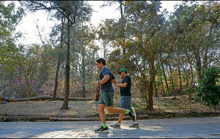 Se espera gran afluencia a los bosques urbanos y parques de la ciudad. EL INFORMADOR/Archivo