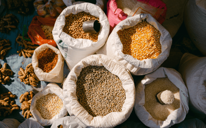 Al incluir legumbres en la dieta favorece en la recuperación del organismo. CANVA