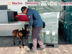 La SSPC explicó que la detección fue resultado del trabajo coordinado entre la Secretaría de Marina (Semar) y autoridades aduanales, así como del intercambio de información con autoridades japonesas. ESPECIAL