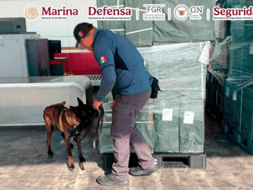 La SSPC explicó que la detección fue resultado del trabajo coordinado entre la Secretaría de Marina (Semar) y autoridades aduanales, así como del intercambio de información con autoridades japonesas. ESPECIAL