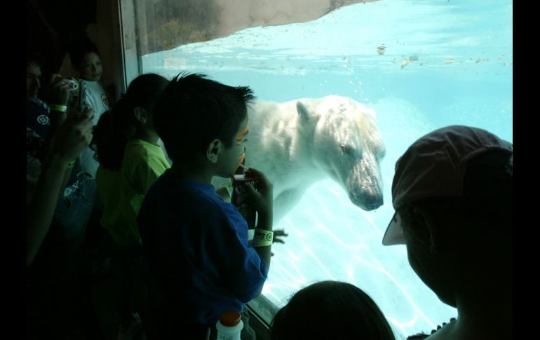 Foto del 5 de abril de 2007. EL INFORMADOR/ ARCHIVO