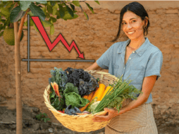 Los productores agrícolas en México verán agravada su situación, ante el hecho de que se hundirán los precios del grano. UNPLASH/CANVA/ESPECIAL