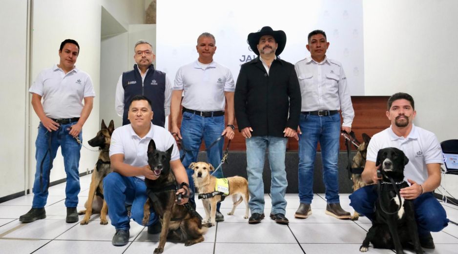 El Gusano Barrenador del Ganado es considerada una plaga de alto impacto sanitario y económico para el sector pecuario. ESPECIAL