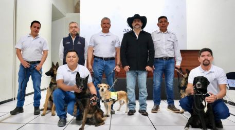 El Gusano Barrenador del Ganado es considerada una plaga de alto impacto sanitario y económico para el sector pecuario. ESPECIAL