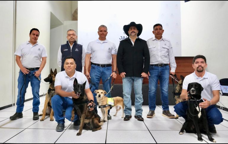 El Gusano Barrenador del Ganado es considerada una plaga de alto impacto sanitario y económico para el sector pecuario. ESPECIAL