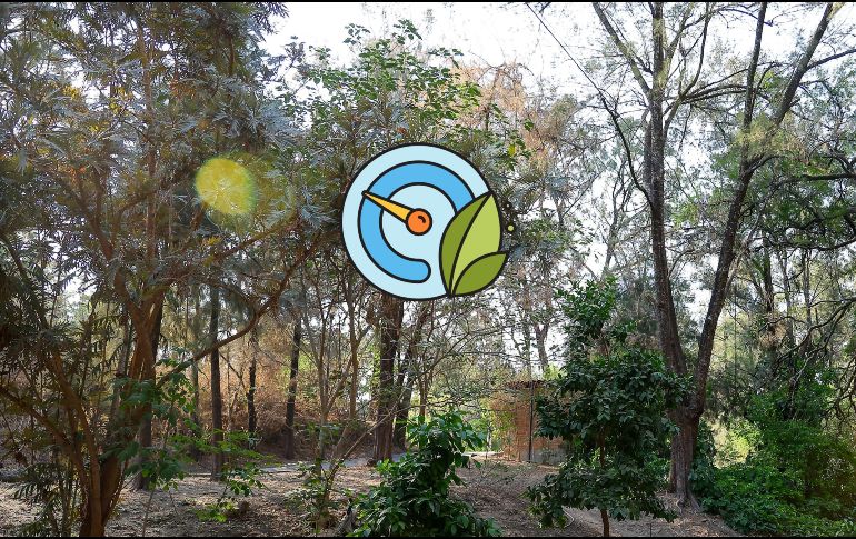 Índice de la calidad por zonas del AMG. EL INFORMADOR / ARCHIVO